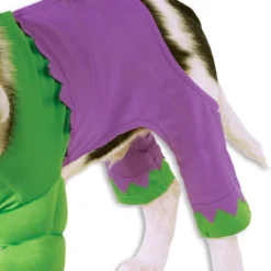 Rubies Hulk Pet Costume -Costumes Party Store 580069 P 2