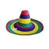 Unique Sombrero Multi Colour - Adult