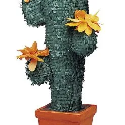 Unique Pinata Cactus