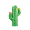 Unique Pinata Cactus 3d