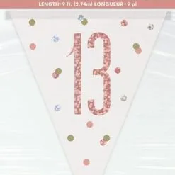 Unique Rose Gold 9ft Prism Flag Banner - 13