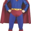 Rubies Superman Returns Collector'S Edition