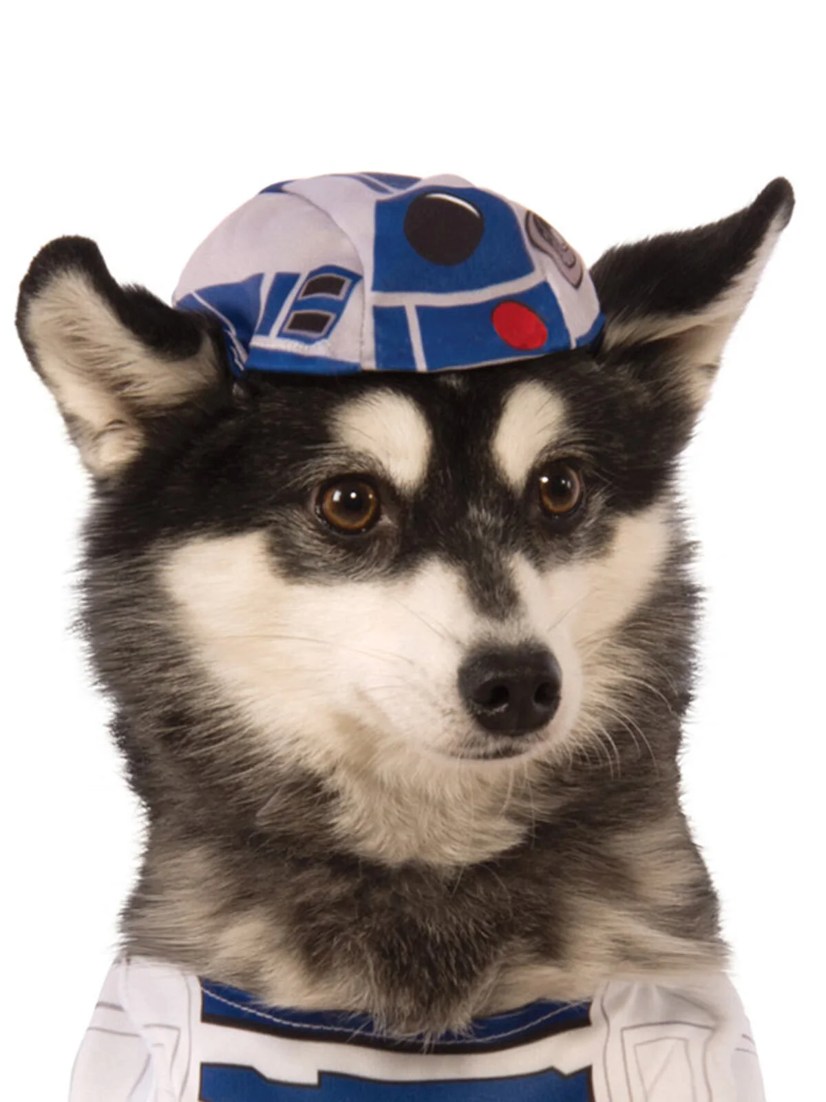 Rubies R2-D2 Pet Costume 4 Rubies R2-D2 Pet Costume - Image 4