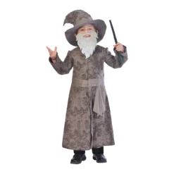 AMSCAN Costume Wise Wizard 5-6 Years