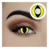 Sweidas Starry Eyed Yearly Lenses - Yellow Cat