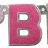 Unique Glitz Pink Hb Jointed Banner