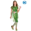 Rubies Poison Ivy Dcshg Deluxe - Size 6-8