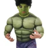 Rubies Hulk Wig Child