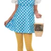 Rubies Dorothy Young Adult Costume Adult Small