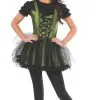 Rubies Wicked Witch Of The West Deluxe Adult Small