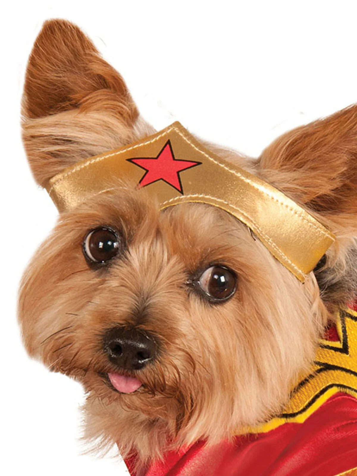 Rubies Wonder Woman Pet Costume Small 2 Rubies Wonder Woman Pet Costume Small - Image 2